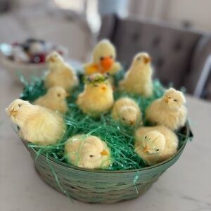 Easter Basket with Chicks